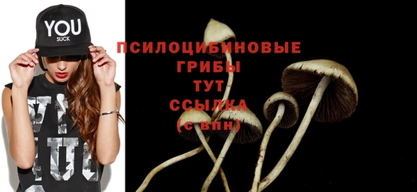 мяу мяу кристалл Осинники