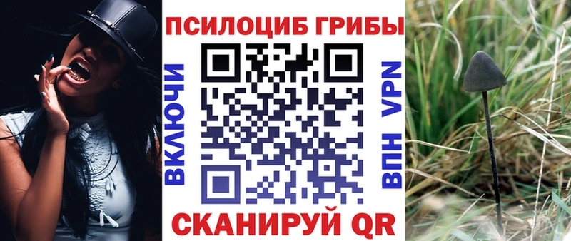 Псилоцибиновые грибы GOLDEN TEACHER  цена наркотик  Северо-Курильск 